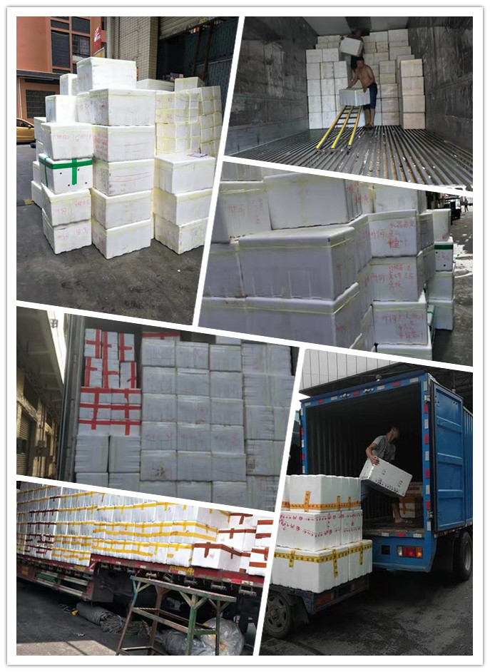 腾博会官网 - 诚信为本,专业服务!