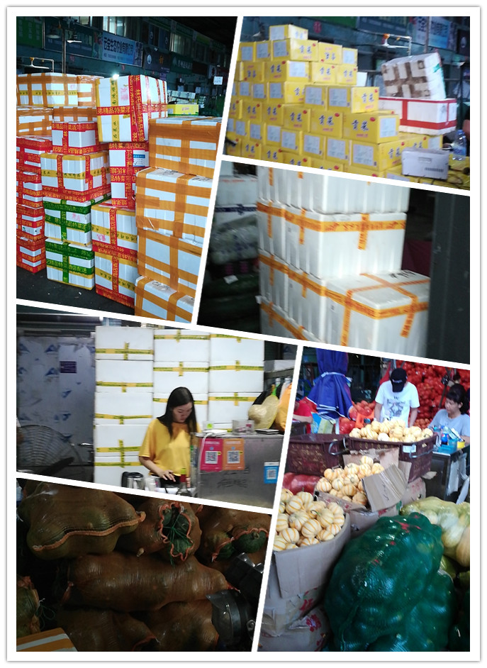 腾博会官网 - 诚信为本,专业服务!