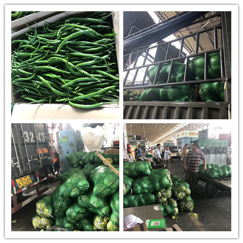 腾博会官网 - 诚信为本,专业服务!