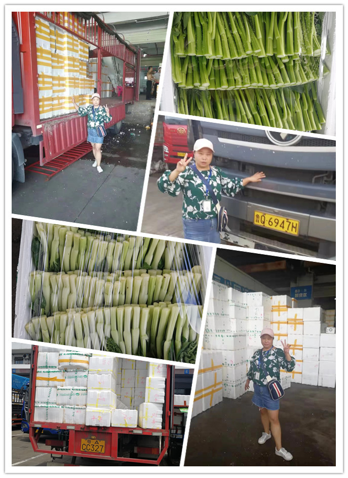 腾博会官网 - 诚信为本,专业服务!