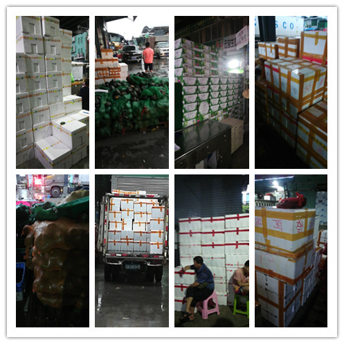 腾博会官网 - 诚信为本,专业服务!