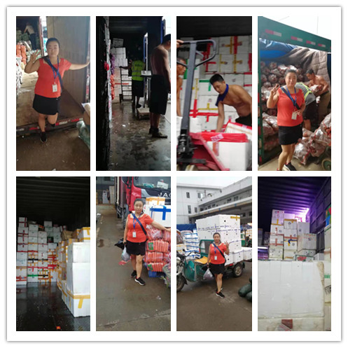 腾博会官网 - 诚信为本,专业服务!