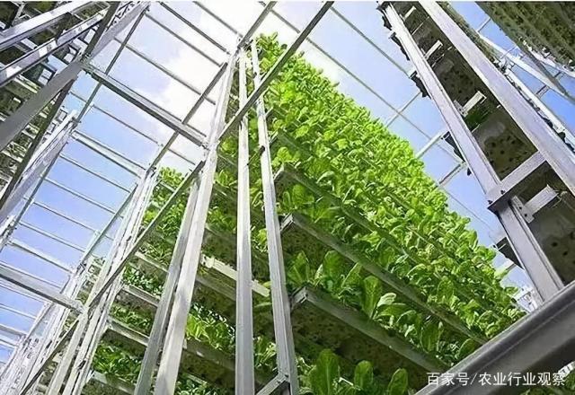 腾博会官网 - 诚信为本,专业服务!