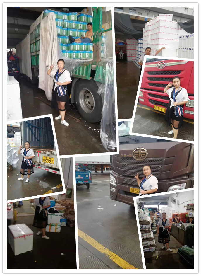 腾博会官网 - 诚信为本,专业服务!