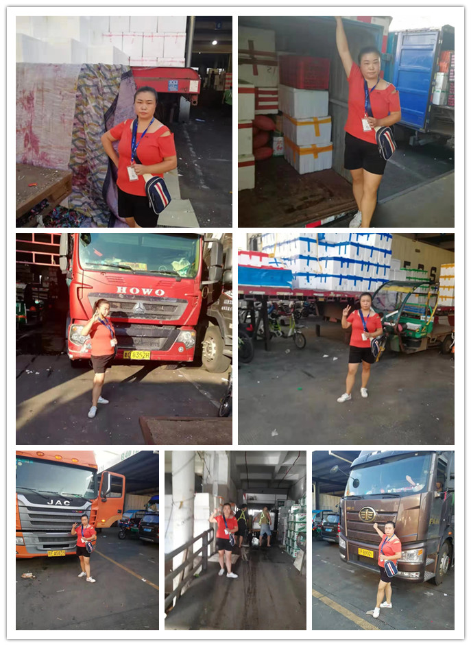 腾博会官网 - 诚信为本,专业服务!