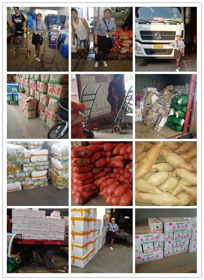 腾博会官网 - 诚信为本,专业服务!