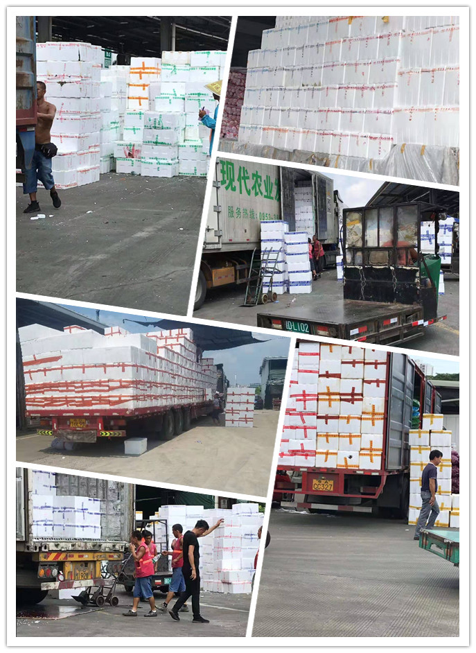 腾博会官网 - 诚信为本,专业服务!