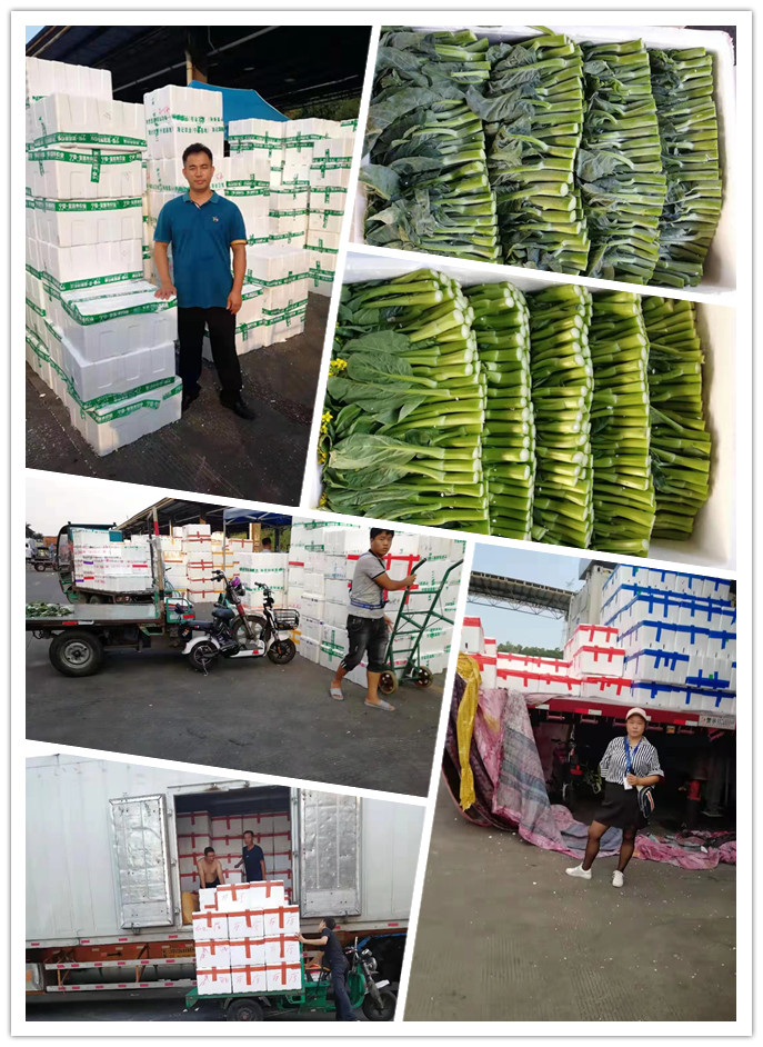 腾博会官网 - 诚信为本,专业服务!