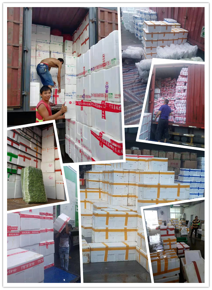 腾博会官网 - 诚信为本,专业服务!