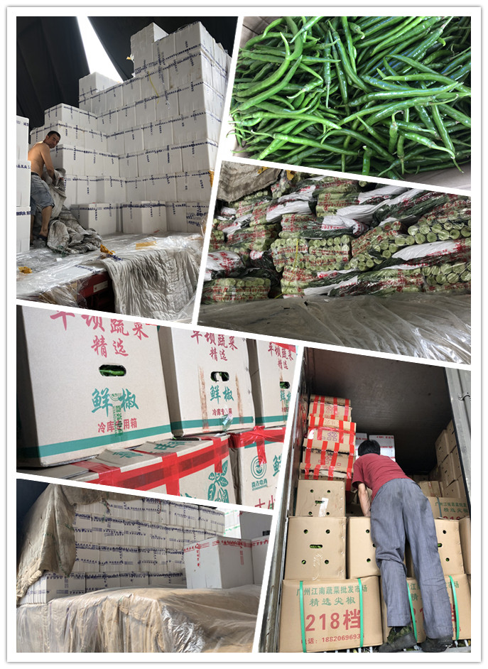 腾博会官网 - 诚信为本,专业服务!