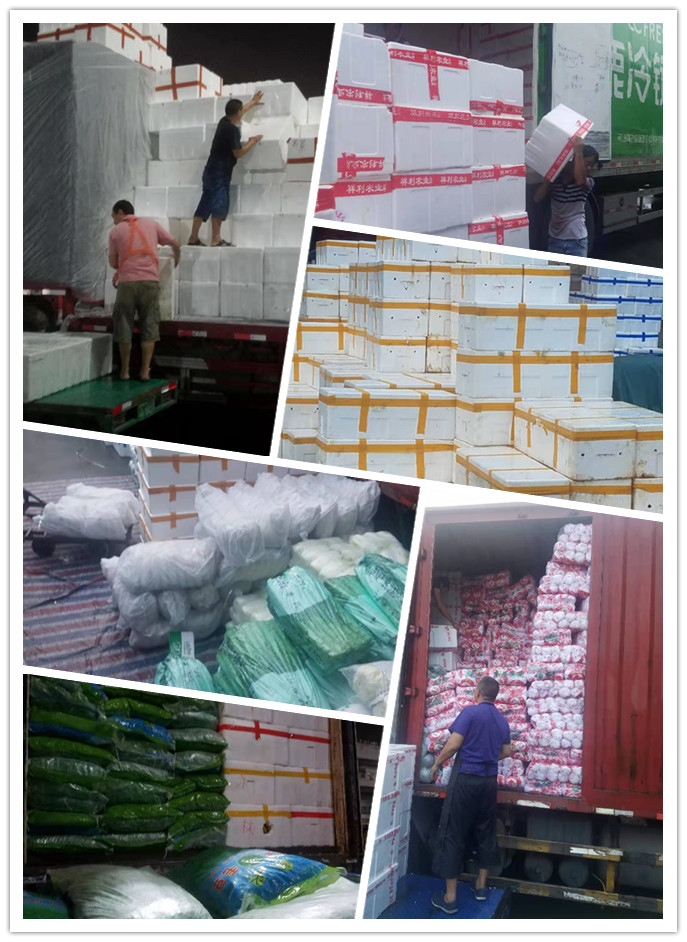 腾博会官网 - 诚信为本,专业服务!