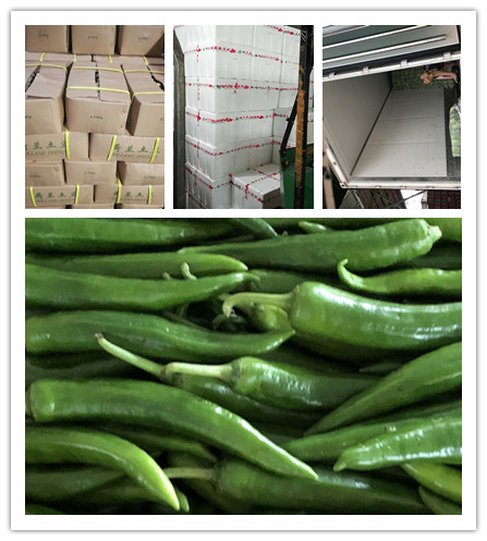 腾博会官网 - 诚信为本,专业服务!