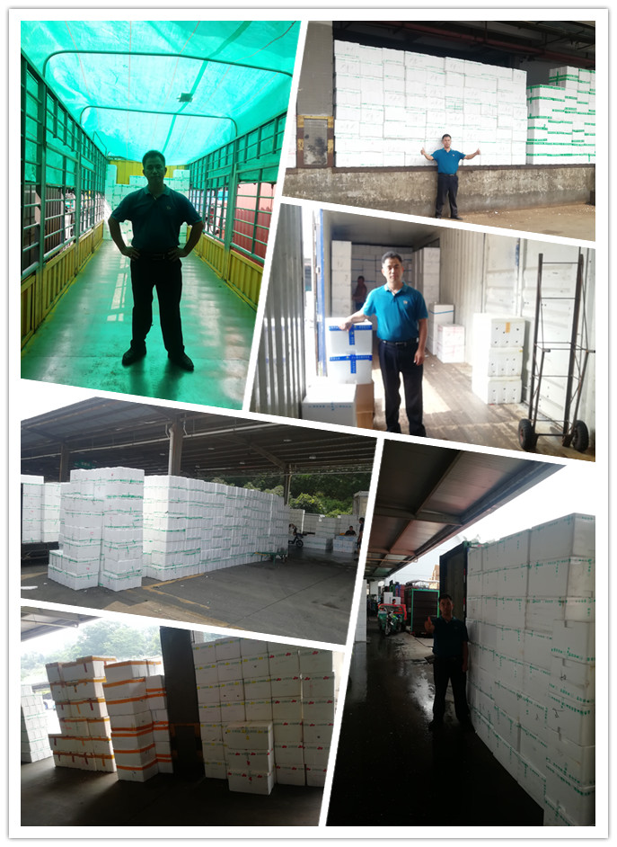 腾博会官网 - 诚信为本,专业服务!