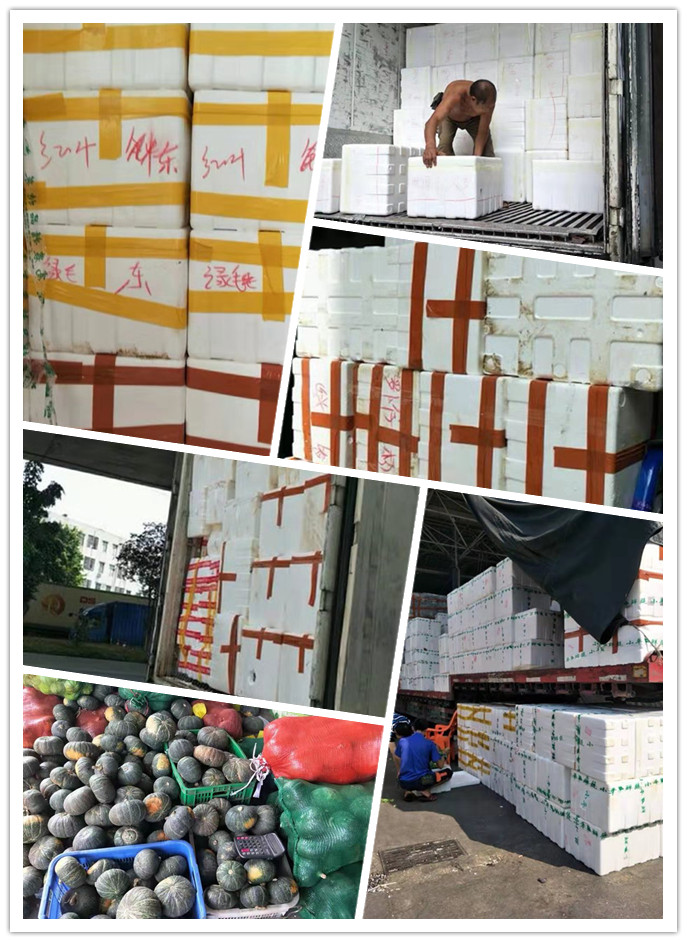 腾博会官网 - 诚信为本,专业服务!