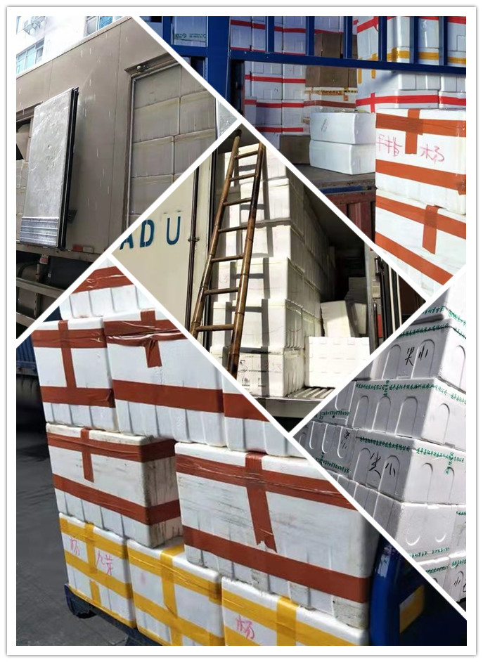 腾博会官网 - 诚信为本,专业服务!