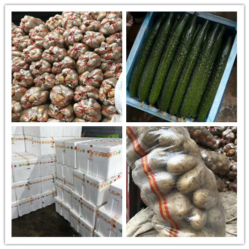 腾博会官网 - 诚信为本,专业服务!