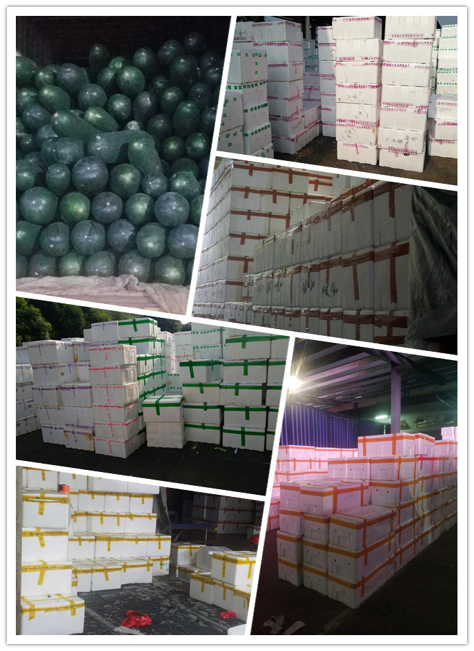 腾博会官网 - 诚信为本,专业服务!