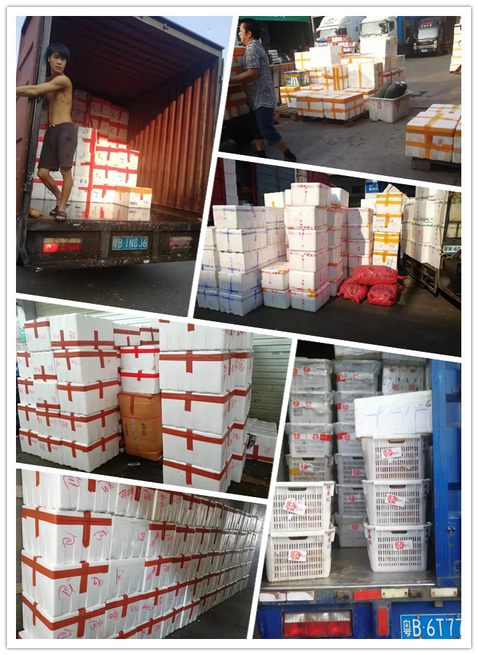 腾博会官网 - 诚信为本,专业服务!