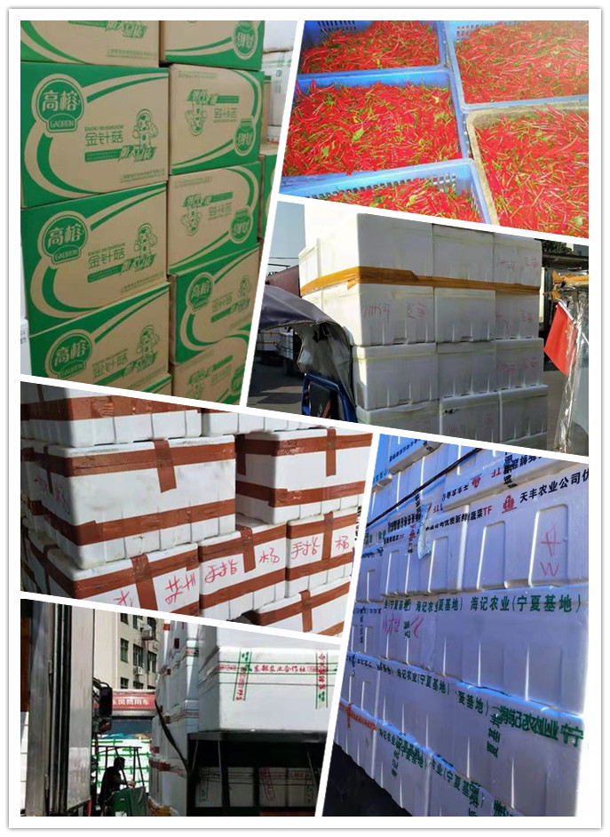 腾博会官网 - 诚信为本,专业服务!