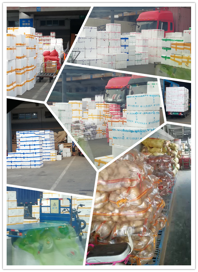 腾博会官网 - 诚信为本,专业服务!