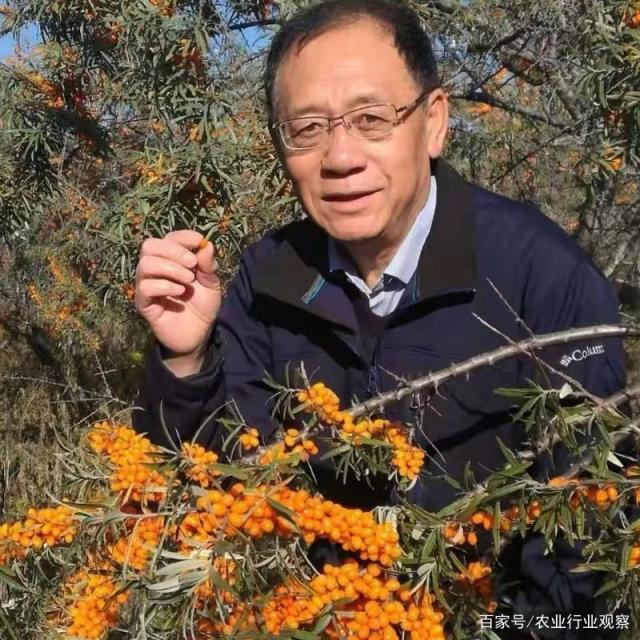 腾博会官网 - 诚信为本,专业服务!