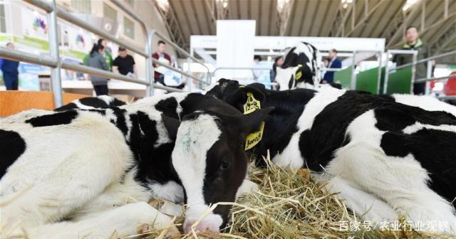 腾博会官网 - 诚信为本,专业服务!