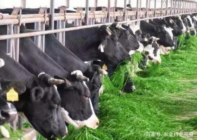 腾博会官网 - 诚信为本,专业服务!