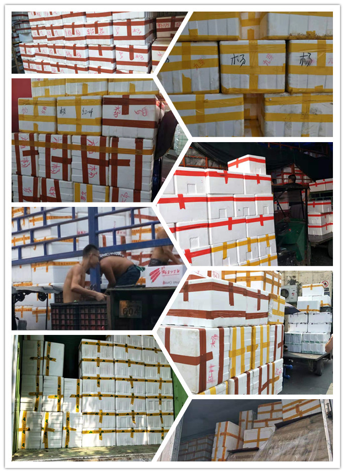 腾博会官网 - 诚信为本,专业服务!