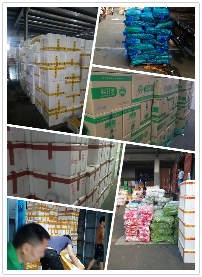 腾博会官网 - 诚信为本,专业服务!