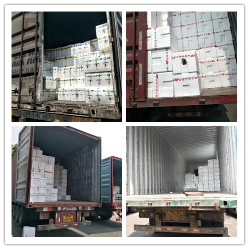 腾博会官网 - 诚信为本,专业服务!