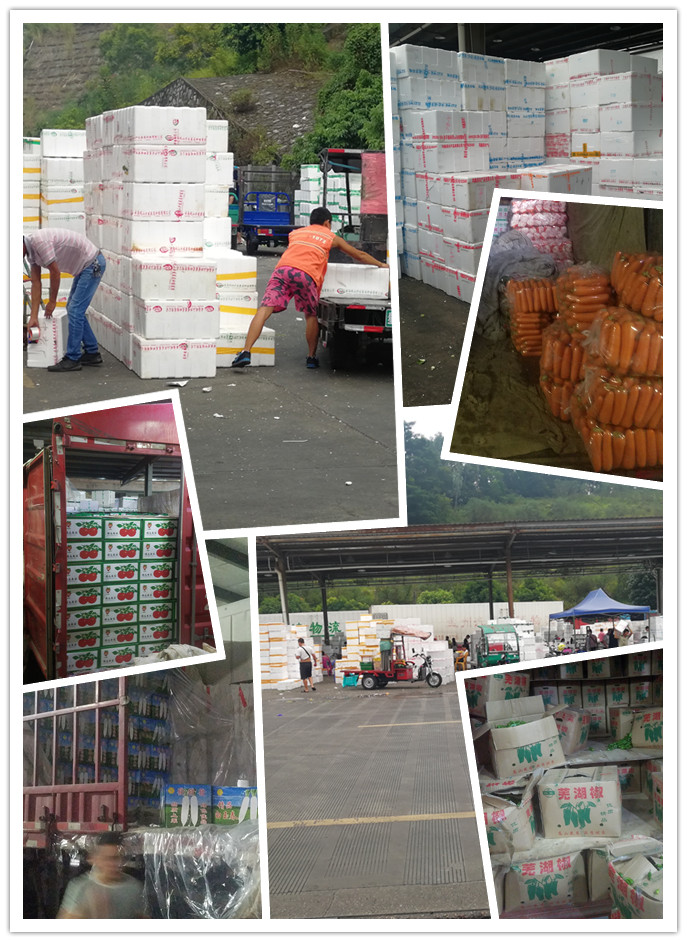 腾博会官网 - 诚信为本,专业服务!