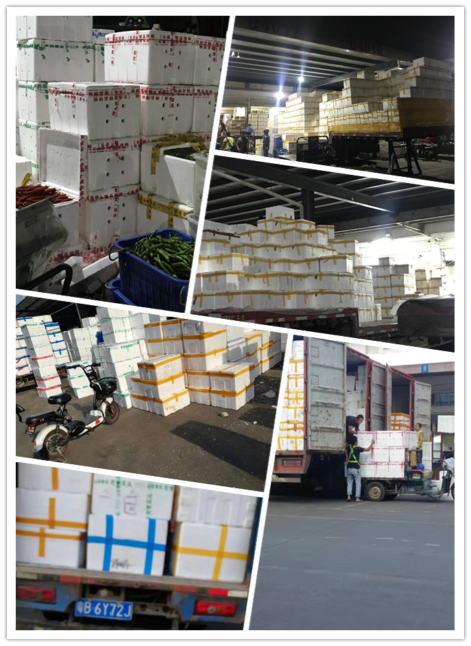 腾博会官网 - 诚信为本,专业服务!