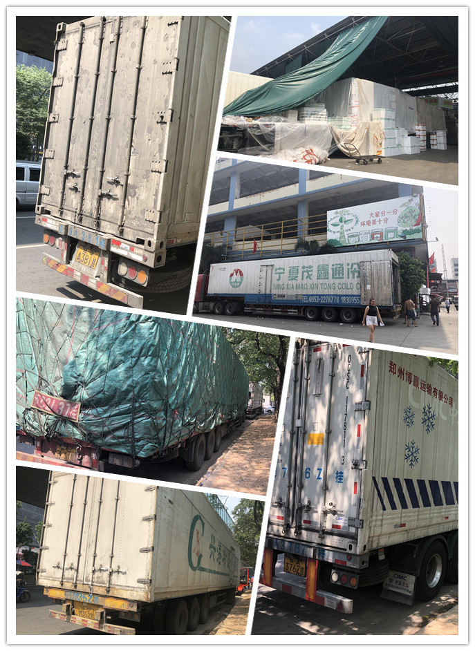 腾博会官网 - 诚信为本,专业服务!