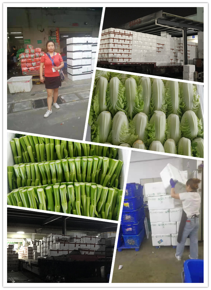 腾博会官网 - 诚信为本,专业服务!