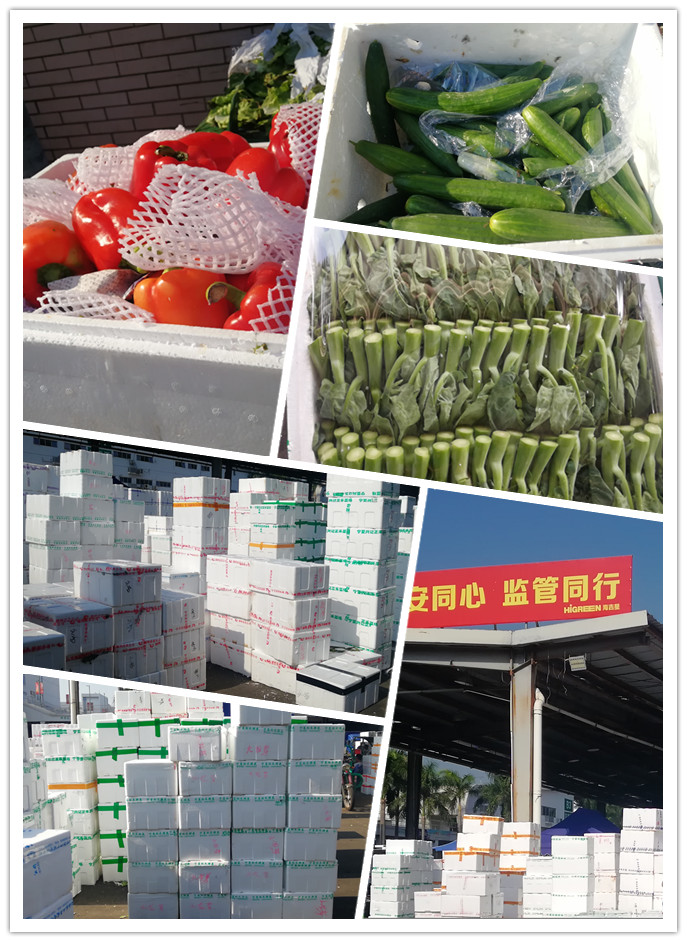 腾博会官网 - 诚信为本,专业服务!