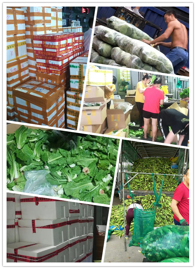 腾博会官网 - 诚信为本,专业服务!