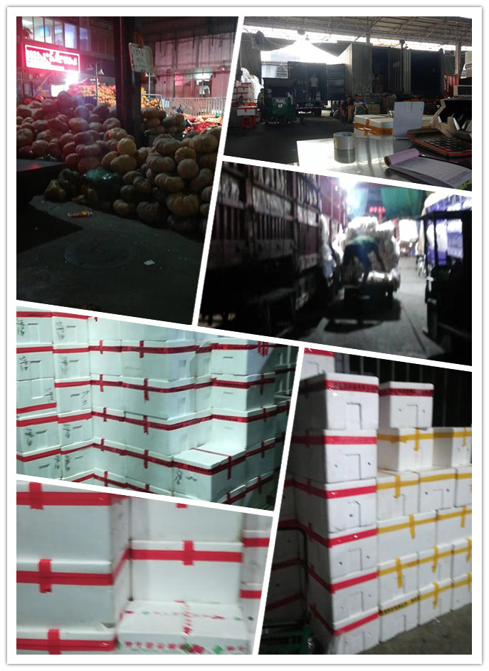 腾博会官网 - 诚信为本,专业服务!