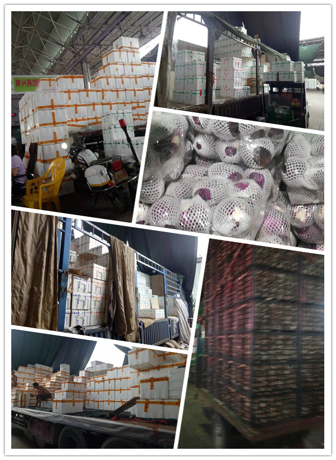 腾博会官网 - 诚信为本,专业服务!