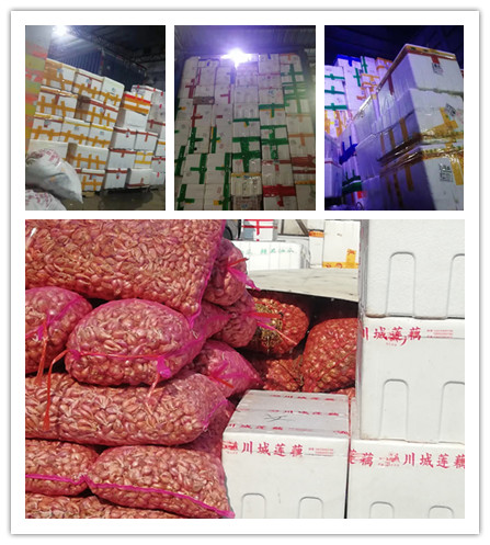 腾博会官网 - 诚信为本,专业服务!