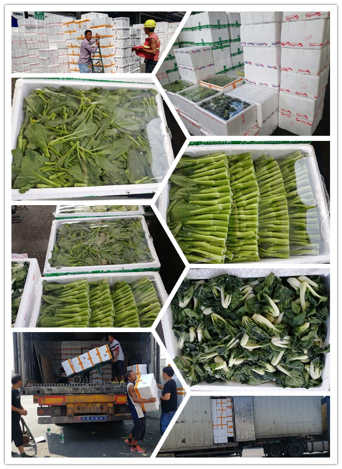 腾博会官网 - 诚信为本,专业服务!