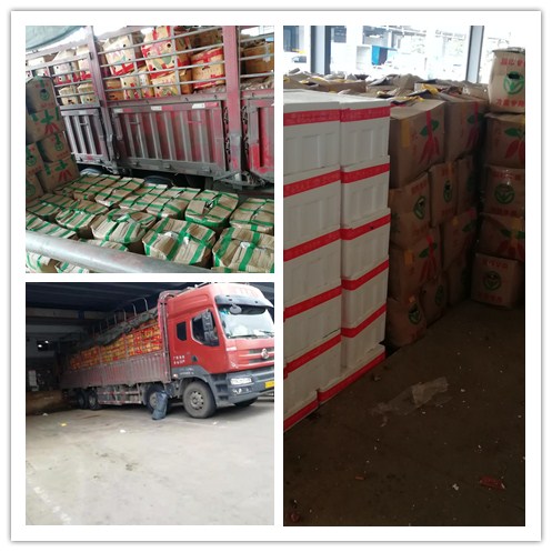 腾博会官网 - 诚信为本,专业服务!