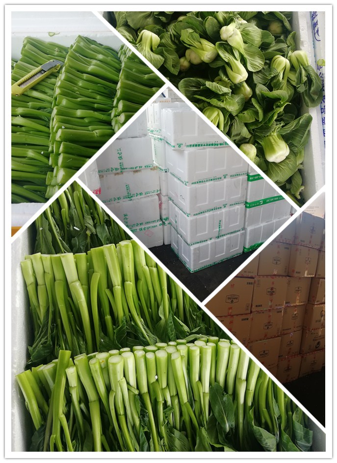 腾博会官网 - 诚信为本,专业服务!