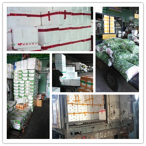 腾博会官网 - 诚信为本,专业服务!