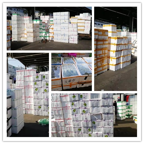 腾博会官网 - 诚信为本,专业服务!