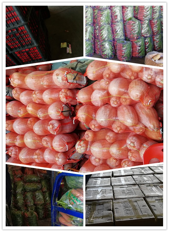 腾博会官网 - 诚信为本,专业服务!