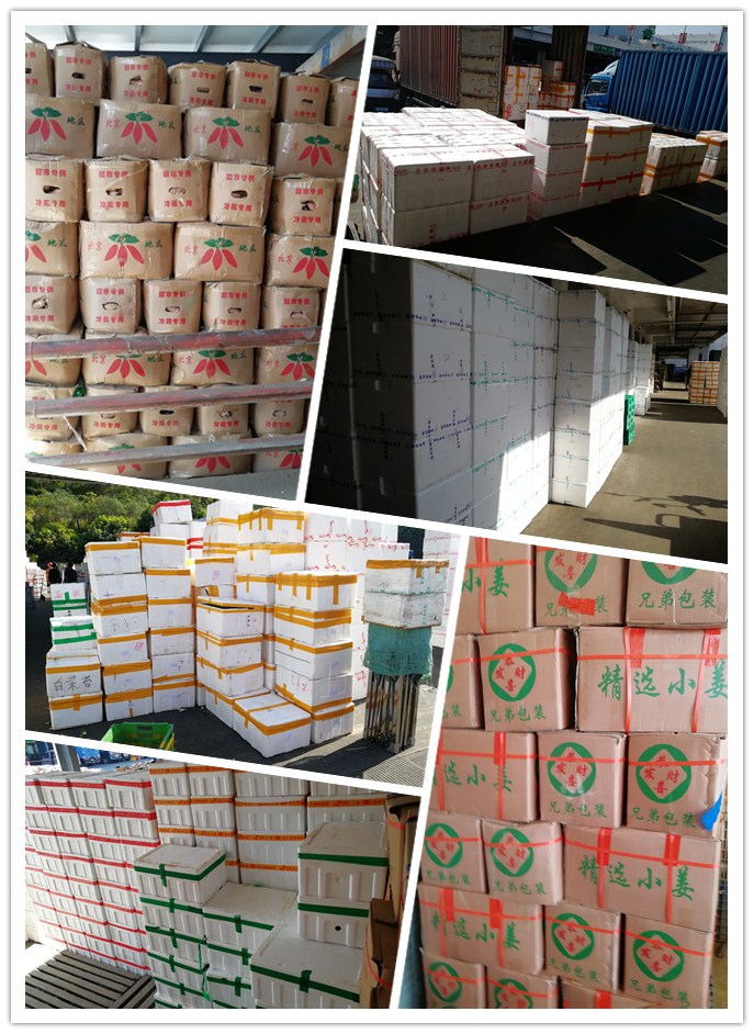 腾博会官网 - 诚信为本,专业服务!