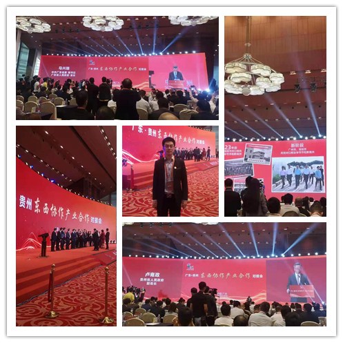 腾博会官网 - 诚信为本,专业服务!