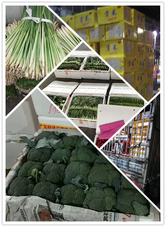 腾博会官网 - 诚信为本,专业服务!