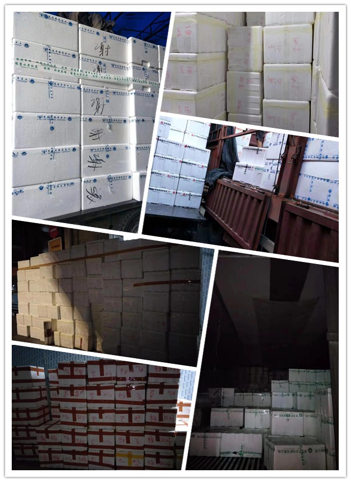 腾博会官网 - 诚信为本,专业服务!