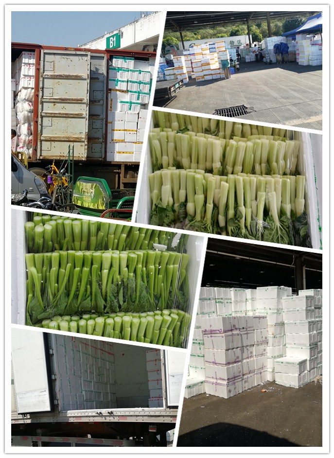 腾博会官网 - 诚信为本,专业服务!